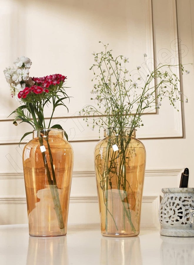 UM Creaciones Flower Glass Vase Amber Decorative Vase for Home Decor Living Room Office and Place Settings Perfect for Wedding & Home (Set of 2) - Image 1